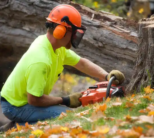 tree services Hawley